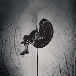 japanese厨房乱偷tube
