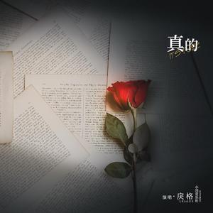 japanese厨房乱偷tube
